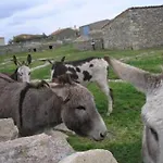 Zapatero Séjour à la campagne *