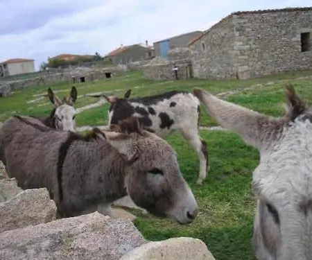 Zapatero Country house *