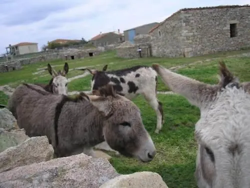 Zapatero منزل ريفي *